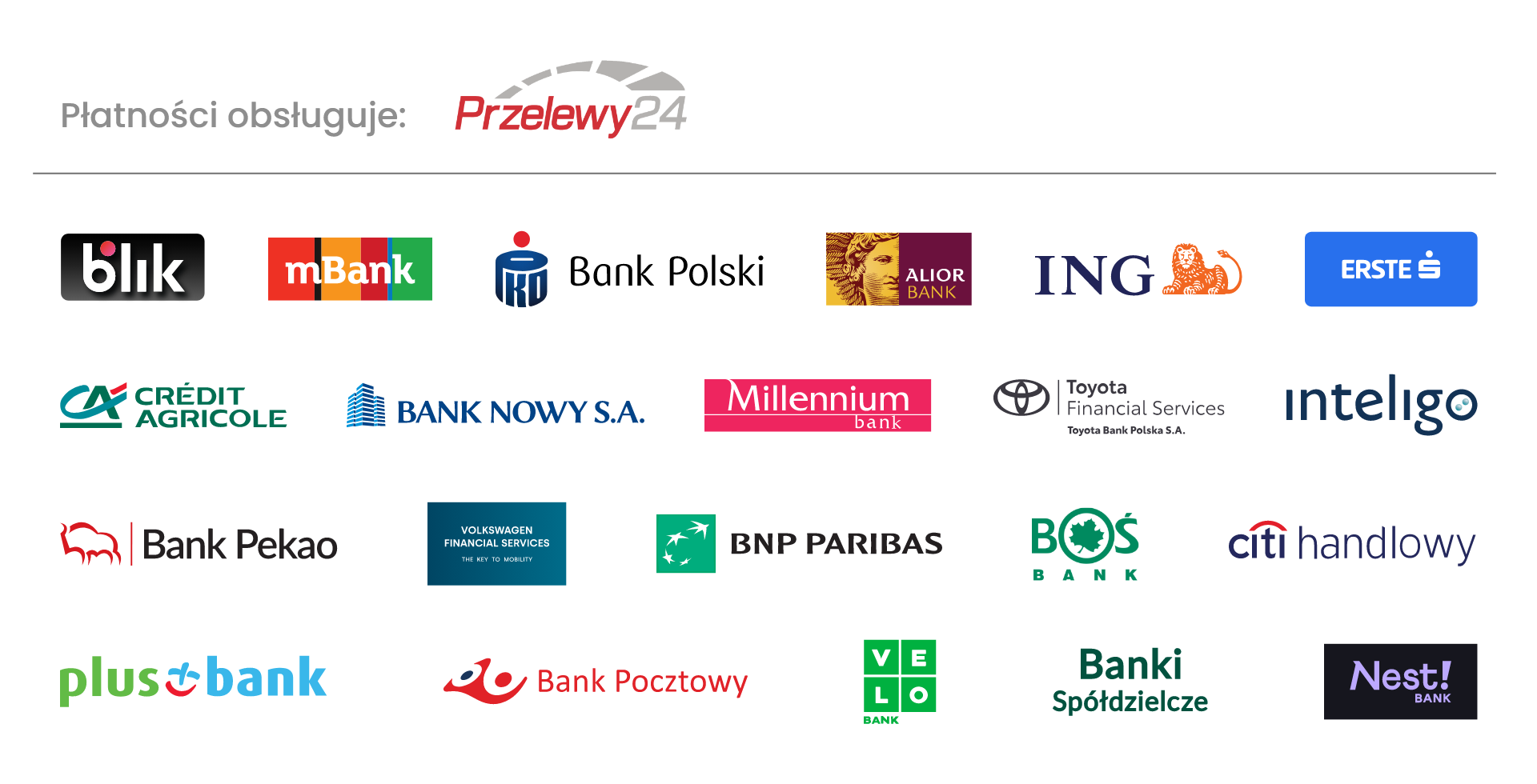 Płatności obsługuje Przelewy24 — BLIK i banki